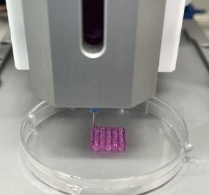 Hydrogel: used in a new cancer treatment (Photo: Korea Institute of Machinery and Materials (KIM))