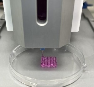 Hydrogel: Einsatz bei neuer Krebstherapie (Foto: Korea Institute of Machinery and Materials (KIMM))