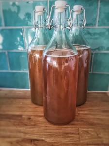 Kombucha: Trinken senkt den Blutzucker signifikant (Foto: pixabay.com, Melanie Rodriguez)