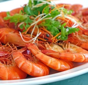 Garnelen: Meerestiere sollen künftig garantiert schadstofffrei sein (Foto: Jason Goh, pixabay.com) Garnelen: Meerestiere sollen künftig garantiert schadstofffrei sein (Foto: Jason Goh, pixabay.com)