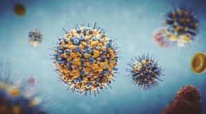 Eppstein-Barre-Virus: Dieses löst schwere Krankheiten aus (Illustration: qimrberghofer.edu.au)