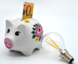 Geld für Energie: Deutsche trotz erhöhter Preise Anbietern treu (Foto: pixabay.com, neelam279)