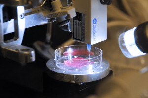 Neue Maschine zum Drucken von lebenden Zellen im All (Foto: manchester.ac.uk)