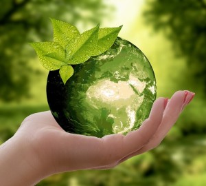 Nachhaltige Wirtschaft: Mittelständler berichten darüber kaum (Foto: pixabay.com, anncapictures)