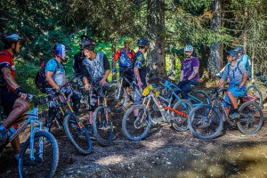 Mountainbiker in der Natur (Foto: Trailbau/Daniel Roos)