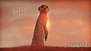 Eddi Erdmann hält Ausschau (Bild: Matto Barfuss)