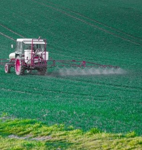Glyphosat: Ausbringung auf ein Feld mit Jungpflanzen kann gefährlich sein (Foto: THG, pixabay.com)