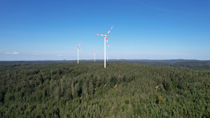 Windkraft ist Klima- und Biodiversitätsschutz (Foto: EWS)