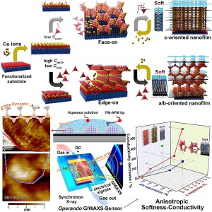 Herstellung leitfähiger MOF-Dünnschichten mit umgekehrten Orientierungen (Bild: Yao Mingshui) Herstellung leitfähiger MOF-Dünnschichten mit umgekehrten Orientierungen (Bild: Yao Mingshui)