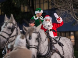 Santa kommt im Wagen mit seinen Pferden an (Foto: Scientology)