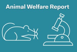 Animal Welfare Report 2023 offre un bon aperçu (© Interpharma)