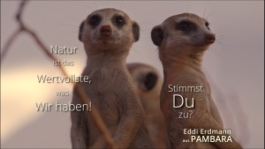 Leitkampagne: 