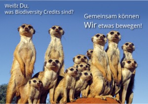 Biodiversity Credits als Anlageform für mehr Artenvielfalt (Bild: Matto Barfuss)