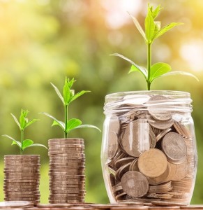 Zartes Pflänzchen: Wirtschaftswachstum langfristig auf Kurs (Foto: pixabay.com, nattanan23)