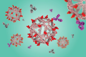 The DNA structure hides virus-like particles very effectively (Credit: The Path Lab)