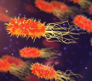 Bakterien: Wissenschaftler treiben diese in den Suizid (Foto: qimono, pixabay.com)
