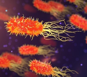 Bakterien: Wissenschaftler treiben diese in den Suizid (Foto: qimono, pixabay.com) Bakterien: Wissenschaftler treiben diese in den Suizid (Foto: qimono, pixabay.com)