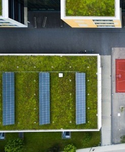 Begrünte Dächer mit Solarmodulen: Kühlere Städte sind möglich (Foto: StockSnap, pixabay.com) Begrünte Dächer mit Solarmodulen: Kühlere Städte sind möglich (Foto: StockSnap, pixabay.com)