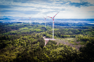 Höchstgebotspreis-Anhebung ist Voraussetzung für den Windkraftausbau (Foto: EWS Consulting)