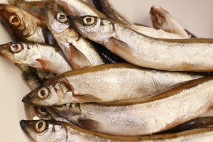 Fisch: Öl ist besonders gesund und beugt Krebsentstehung vor (Foto: pixabay.com, Iren)