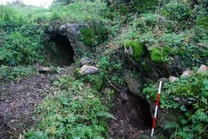 Killuragh Cave: 4.000 Jahre alte Zähne sehr gut erhalten (Foto: Sam Moore/Marion Dowd)