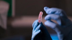 Gedruckter EPFL-Finger, der komplett aus Elastomeren besteht (Foto: Adrian Alberola, epfl.ch)