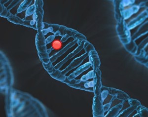 DNA: Neue Erklärungen für zwei Krankheiten identifiziert (Foto: pixabay.com, swiftsciencewriting)