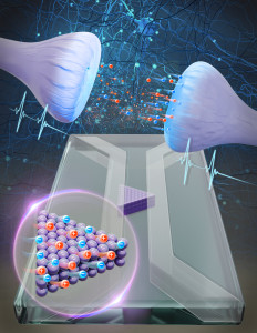Darstellung der neuen künstlichen Synapse (Illustration: uu.nl)