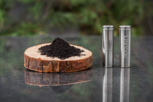 Aus Holz hergestelltes Lignode-Pulver und Batterien (Foto: storaenso.com)