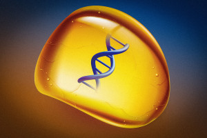 DNA, eingelagert in den neuen Bernstein-Ersatz (Illustration: mit.edu)
