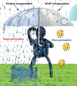 Kontrollierte Auflösung (Bild: Advanced Functional Materials (2024). DOI: 10.1002/adfm.202403427) Kontrollierte Auflösung (Bild: Advanced Functional Materials (2024). DOI: 10.1002/adfm.202403427)