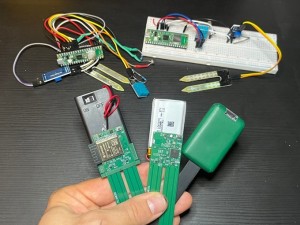 SmartyPlants in drei Produktionsstadien (Foto: smartyplants.ai) SmartyPlants in drei Produktionsstadien (Foto: smartyplants.ai)