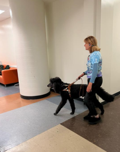 Eine Blinde beim Test der neuen Navigations-Apps (Foto: Roberto Manduchi) Eine Blinde beim Test der neuen Navigations-Apps (Foto: Roberto Manduchi)