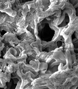 Hochporöser Kohlenstoff unter dem Elektronenmikroskop (Foto: Giannelis Group/Provided) Hochporöser Kohlenstoff unter dem Elektronenmikroskop (Foto: Giannelis Group/Provided)