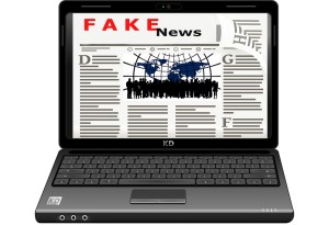 Fake News: Viele Deutsche befürchten gezielte Beeinflussung zur Wahl (Bild: pixabay.com, NoName_13)