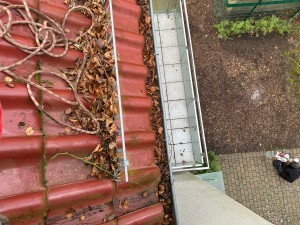 Frühjahrsputz für Dachrinnen (Foto: Industrie Kletterer Hamburg IKH GmbH)
