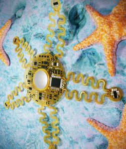 Neuer Hightech-Herzsensor nach dem Vorbild des Seesterns (Illustration: Zheng Yan, missouri.edu)