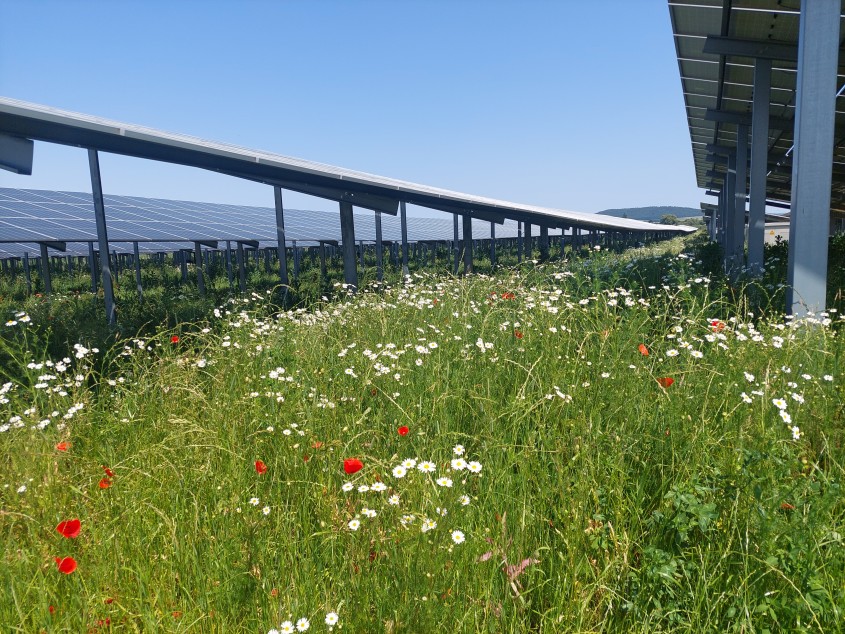 Murphy&Spitz Agri-PV-Anlage