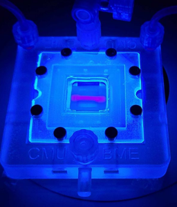 3D-Druck lebender Zellen: Hilfe für Diabetes-Patienten (Foto: Daniel Shiwarski, pitt.edu, cmu.edu)