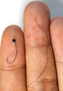 Vergleich der Größe der EEG-Elekzrode und eines menschlichen Haars (Foto: Tao Zhou, psu.edu)