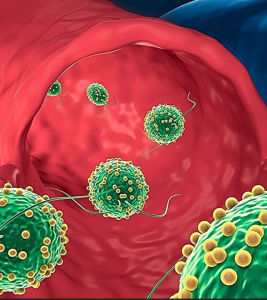 Getarnte Medikamente auf dem Weg in die Lunge (Illustration: Joseph Wang lab, ucsd.edu)