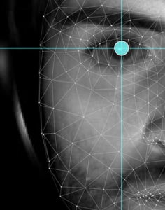 Auswertung der Anzeichen für Tinnitus (Bild: massgeneralbrigham.org)