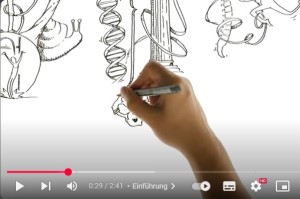 Spiraldynamik®-Konzept (Bild: Spiraldynamik®)