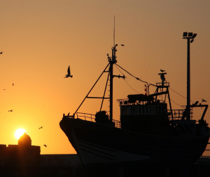 Fischerboot: Subventionen können massive Schäden nach sich ziehen (Foto: pixabay.com)