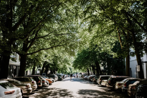 Berliner Strasse mit vielen Bäumen (Foto: Baumpflege Kasper)