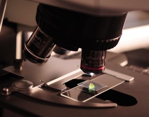Präzise Sicht: in die Ferne künftig mit neuem Lasergerät möglich (Foto: pixabay.com, felixioncool)