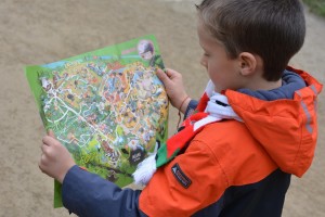 Karte lesen: Kinder lernen spielend in ihrer Freizeit (Foto: pixabay.com, Ben Kerckx)