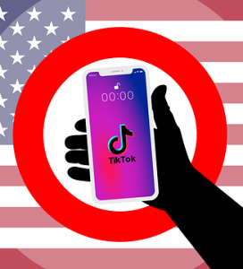 TikTok: sorgt für politische Polarisierung (Bild: iXimus, pixabay.com)