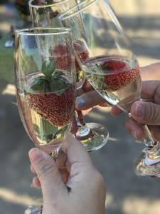 Alkohol am Arbeitsplatz: wird unterschiedlich sanktioniert (Foto: amy shao, pixabay.com)