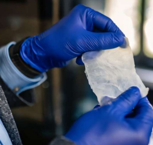 Natürliches Plastik: von Bakterien hergestellte Zellulose-Matte (Foto: uh.edu)
